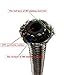 Upgr8 5 Feet Length Stainless Steel Braided Fuel/Oil/Gas Line Hose (-6AN, Silver)