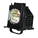 FI Lamps Compatible with Mitsubishi 915B403001 TV Replacement Lamp with Housing