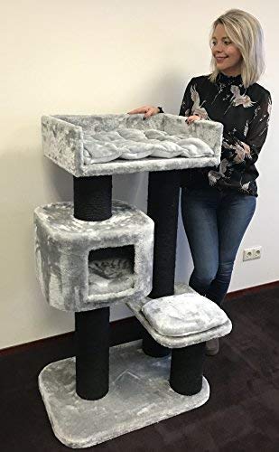 devon rex cat tree
