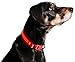 ILLUMISEEN LED Dog Collar USB Rechargeable - Bright & High Visibility Lighted Glow Collar for Pet Night Walking - Weatherproof, in 6 Colors & 6 Sizes (Red Large)