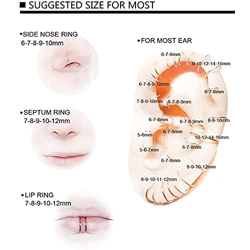 G23 Titanium Septum Ring Hinged Nose Rings for Women 16G Hoop Segment Rings Sleeper Earrings Body Piercing Jewelry Black/Silver/Gold/Rose Gold Rings, Diameter 6mm,8mm,10mm(6pcs) (Rose Gold)