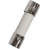 10 PCS Ceramic fuses T16A250V Slow-Blow 5x20mm/0.2x0.79inch 16AMP 250V