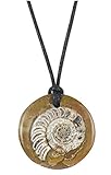 Squire Boone Polished Fossil Ammonite Pendant