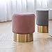 Art Leon Small Round Velvet Ottoman, Upholstered with Gold Plating Base Footstool Rest Extra Seat, Pack of 1 (Rose Pink)