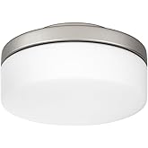 Quorum 1011-965, 1-Light Kit, 18 Watts, Satin Nickel