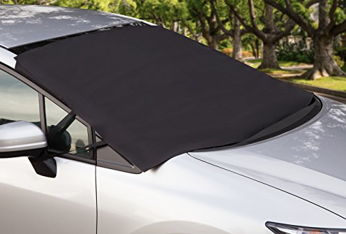 5 OxGord+Windshield+Removal+Protector+Scraping