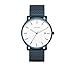 Skagen Hagen Steel-Mesh Watch