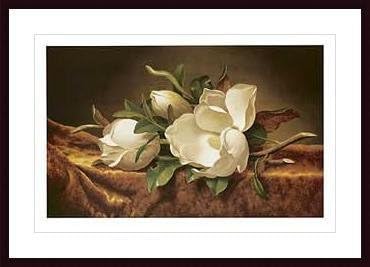 Art Poster Wood Framed Print - Magnolias on Gold Velvet Cloth - Artist: Martin Johnson Heade- Poster Size: 23 X 35
