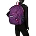 JanSport Digital Student Coral Sparkle Pretty Posey One Size