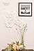 Ling's moment Paper Flower Decorations for Wall, Shimmer Cream Paper Flowers, Handcrafted Cardstock Flowers, 3D Wall Flowers for Wedding Backdrop, Baby Nursery, Archway, 8