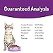 Halo Adult Grain Free Wet Cat Food Soft Pate, Salmon Recipe in Broth, Healthy Cat Food with Real, Whole Salmon, 3 oz Can (Pack of 12)