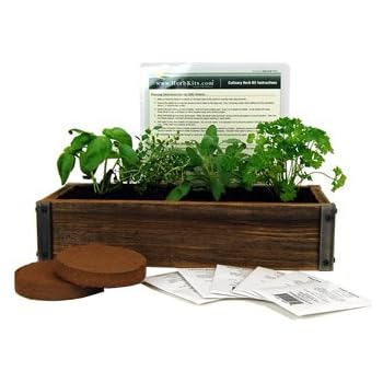 Amazon.com : Reclaimed Barnwood Planter Box Mini Herb Garden Kit - Grow