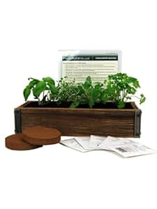 Amazon.com : Reclaimed Barnwood Planter Box Mini Herb Garden Kit - Grow