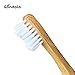 Gondola Bamboo Toothbrush (Kids - 4 Count (Pack of 1))