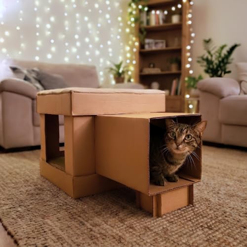 Casa para Gato com Arranhador e Tunel Casinha Desmontável Kartona