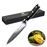 LEVINCHY Damascus Kitchen Utility Knife 5 Inch