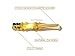 Horn Cigarette Holder Portable Filter Smoke Mouthpiece for Men/Women, Healthy Smoker's Gift from China Contain Luxury Gift Box,Doubly Filtering Tar and Nicotine Fiting on Common Cigarettes(Light)