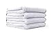 The Rag Company - Everest 550 - Ultra Plush Korean 70/30 Blend, Professional Microfiber Detailing Towels, 550gsm, 16in x 16in, White (4-Pack)