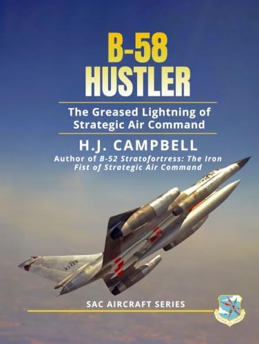 Amazon.com: Russia's Air-launched Weapons: Russian-made Aircraft