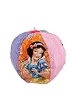 Disney Beach Ball - Sofia the First