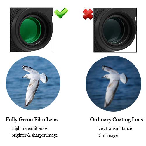 10x25 High Powered Binoculars with Weak Light Night Vision for Concert Theater Waterproof Compact Binocular Great for Bird Watching Hiking Traveling, Sightseeing Gift for Adults Kids Boys