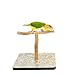 Birds LOVE Small Dragonwood Bird T-Stand Perch Gym Training Playstand Cockatiels Lovebirds Parakeets Conures 11.75″ x 11.75″ x 9.25″thumb 3