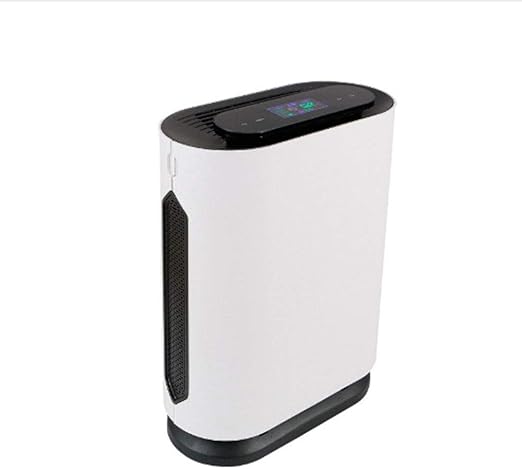 Purificador de aire con filtros de carbón activo HEPA verdaderos ...