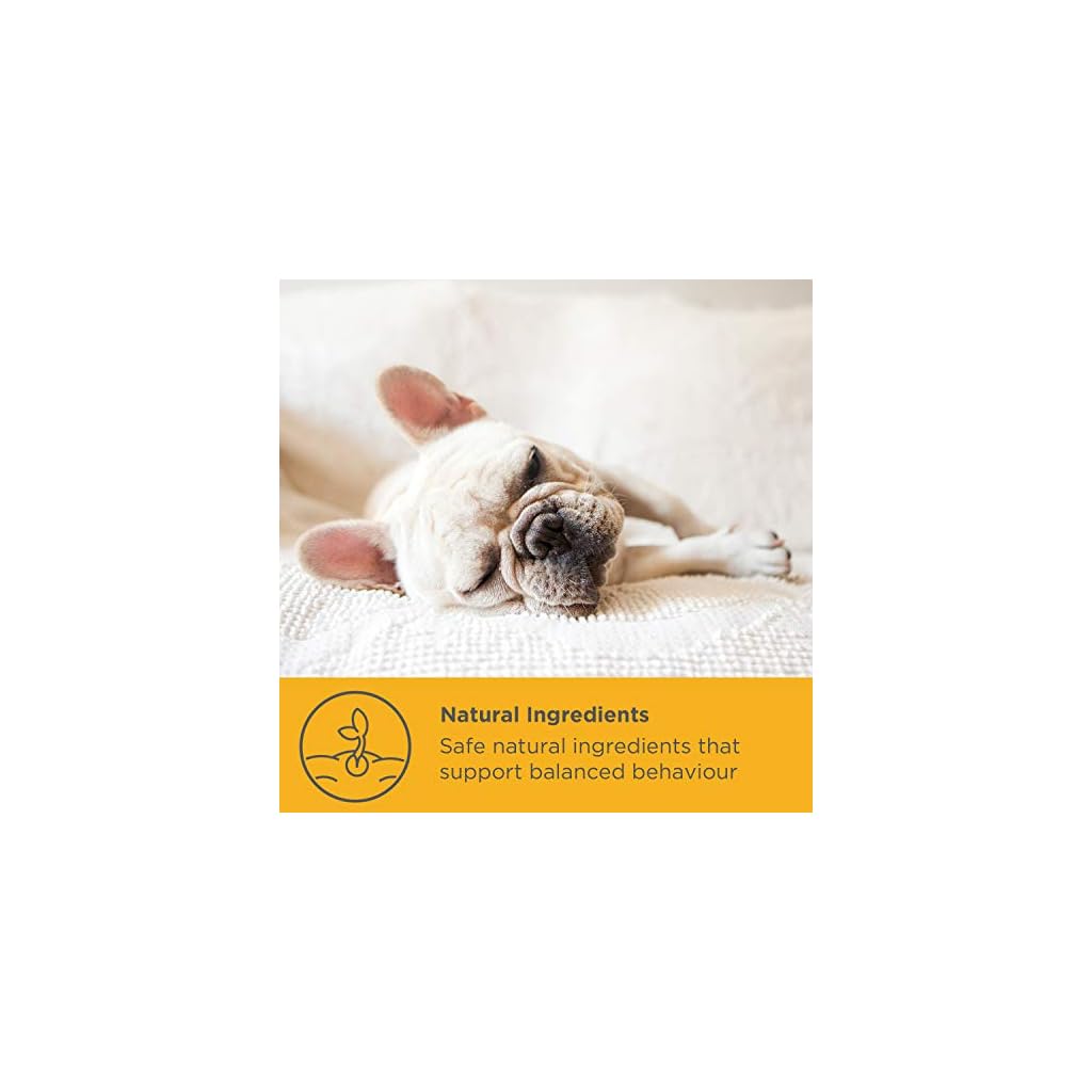 maxxicalm Natürliche Beruhigungsmittel für Hunde 120 Rescue Tabletten