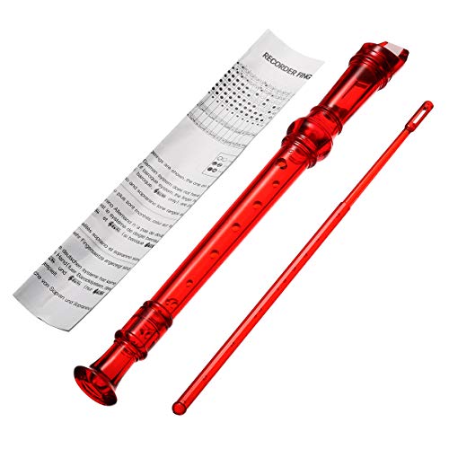 5 KINGSO+Recorder+Cleaning+Instrument+transparent