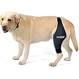 kruuse dog brace