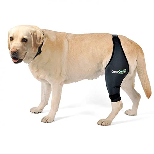 Ortocanis - Knee Brace for Dogs with Cruciate Ligament Injuries, Patella Dislocation or Osteoarthritis, XS, Left Leg