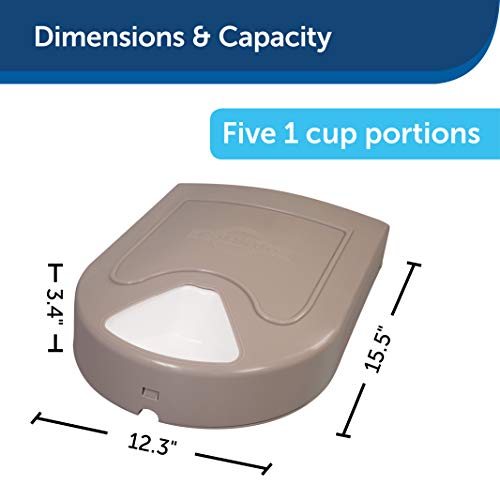 5 Best Automatic Dog Feeders February 2020 Dog Feeder Reviews