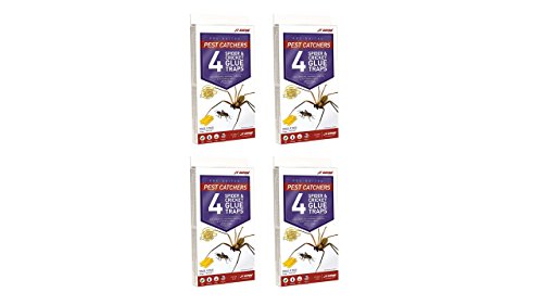 J T Eaton 646437141239 JT 844 Pest Catchers Large Spider and Cricket Size Attractant Sc