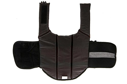 Dog Life Jacket Safety Reflective Vest Pet Life Preserver (Orange, M)