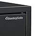 SentrySafe PB2K Security Box Safe, Black