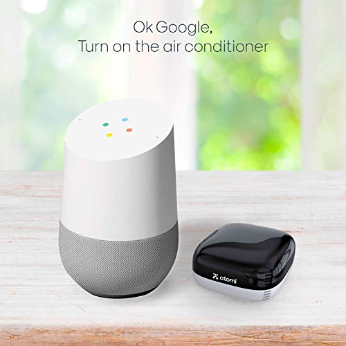 wifi thermometer google home