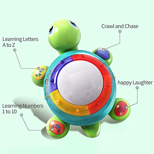 juguete musical de tortuga, aprendizaje de inglés y español, juguetes electrónicos con luces y sonidos, regalo de desarrollo educativo temprano 6 7 8 9 10 11 12 meses, 1, 2 años de edad, bebés, niños pequeños, niños, niñas, amarillo