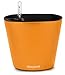 Aquaphoric Self Watering Planter (7”) + Fiber Soil = Foolproof Indoor Home Garden. Modern Decorative Planter Pot for All House Plants, Flowers, Herbs, African Violets, Succulents. Easy / Looks Great.