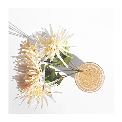 Purifying & Deodorizing Gel Beads with Japanese Persimmon
