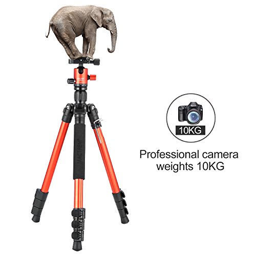 MACTREM Tripod DSLR SLR Tripod, 62.5" Light-Weight Aluminum Alloy Camera Tripod Phone Tripod with Phone Holder, 360 Degree Ball Head, Detachable Monopod, 33lbs Load with Carry Bag, Orange