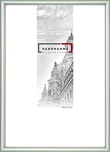 Kunststoff Bilderrahmen, Bildformat: 18 x 24 cm, Silber, Echtglas