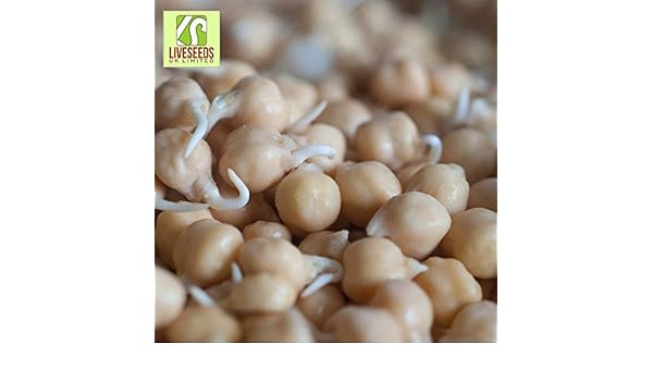 Shop Meeko 750g: Liveseeds - Semillas de garbanzo B Coles de 500g ...