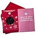 Hallmark Wonder Woman Valentine's Day Card for Kids with Plush Toy (Wonder Woman Fluffball Ornament)