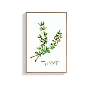 Framed Canvas Wall Art for Living Room, Bedroom Thyme Canvas Prints for Home Decoration Ready to Hang - 16x24 inches