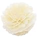 Sopeace 15 Pcs Pcs Cream Gold White Tissue Pom Poms Paper Flowers Paper Lanterns for Birthday Party Decoration