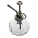 MyGift Decorative Small Glass Vintage Plant Mister Spray Bottle with Top Pump