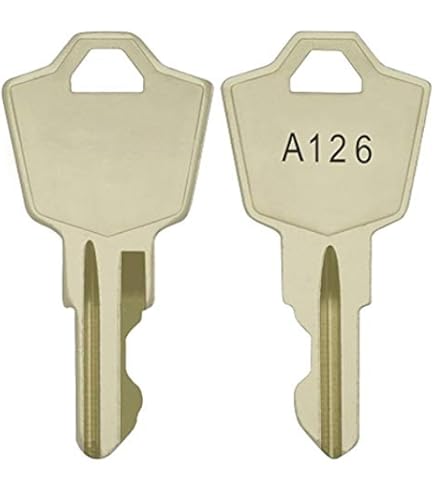 RIRI✳︎ Linear 222343 Linear ACP00959 - Linear Key for All Linear