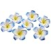 DreamLily Women's Fashion 3 Pcs Hawaiian White Plumeria Flower Foam Hair Clip Balaclavas for Beach (Blue)