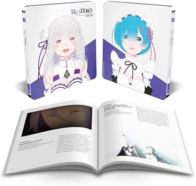Amazon.com: Re:Zero Starting Life in Another World Art Works Re