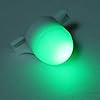Fish-Bite-Alarm-Electronic-Fishing-LED-Rod-Tip-Night-Fishing-Light Fish-Bite-Alarm-Electronic-Fishing-LED-Rod-Tip-Night-Fishing-Light